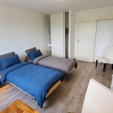 L'Ecrin De Saint Genest Lerpt - Belle Vue Et Calme Apartment ภายนอก รูปภาพ