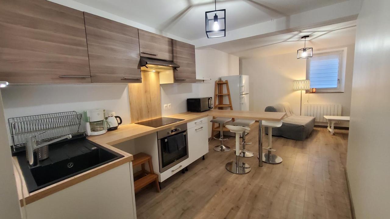 L'Ecrin De Saint Genest Lerpt - Belle Vue Et Calme Apartment ภายนอก รูปภาพ
