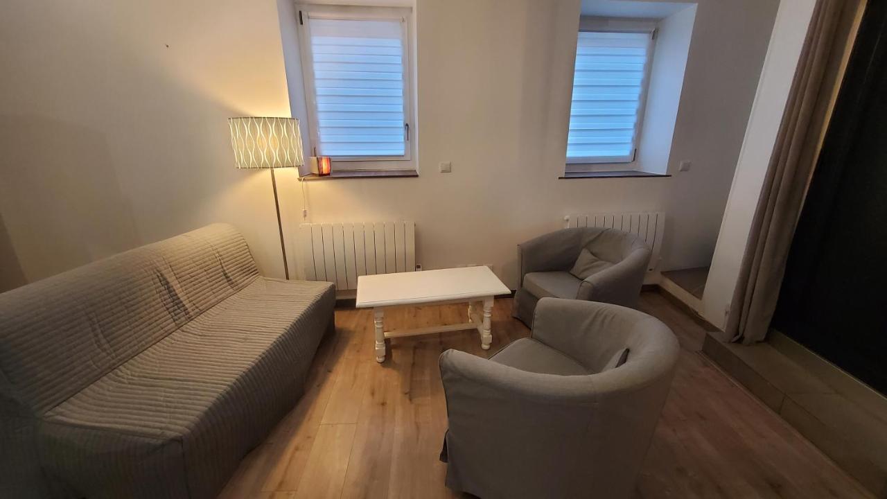 L'Ecrin De Saint Genest Lerpt - Belle Vue Et Calme Apartment ภายนอก รูปภาพ